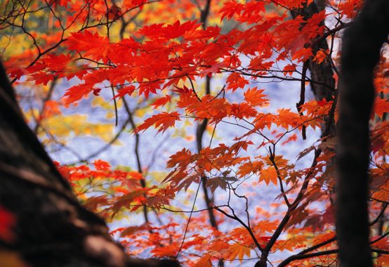 「明るい職場で同僚同士が笑顔で会話している様子。和やかな雰囲気が伝わる光景。」